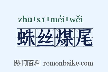 蛛丝煤尾是什么意思的图片